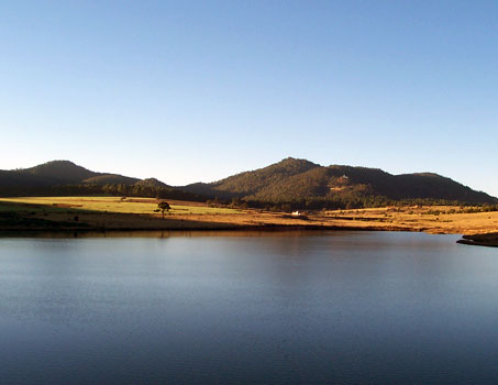 Lago
